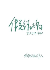 假结婚